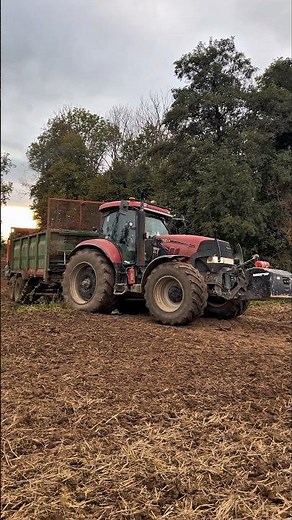 🚜💩 Case Tractor Hauling Manure – Real Farming Sound 🌾 #case #caseih #tractor #farming #agriculture