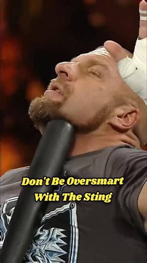 Triple H Brings A Sledgehammer To A Baseball Bat Fight Against The Sting🔥💪! #TheSting #WWELovers Aesthetic Edits | Aesthetic Edits