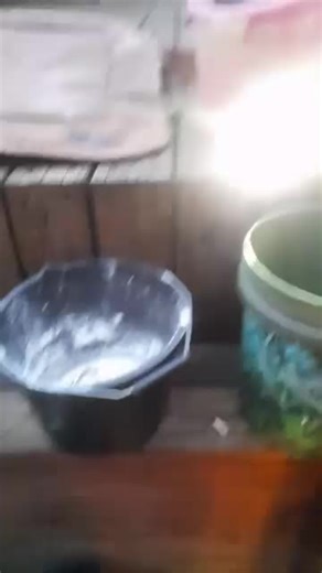 nikki,D (@nikkid648)’s videos with original sound - nikki,D
