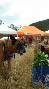 Finding quality is easy at ALDI. | ALDI Australia