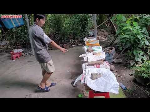 The result after months of embryo splitting