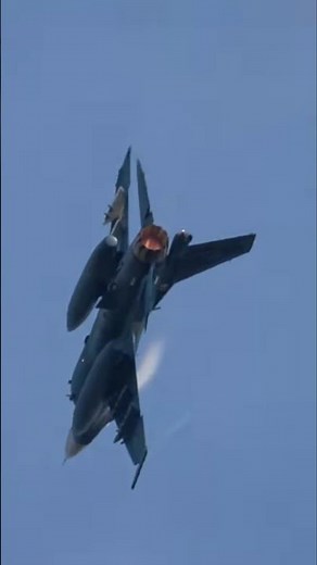 【これぞ日本の戦闘機】航空祭でF-2が見せたフルアフターバーナーの全力機動