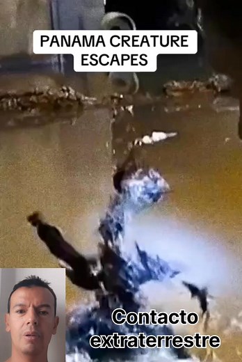 2M views · 9.4K reactions | Escape del organismo extraterrestre que cayo en un meteorito en Panama #alien | Contacto Extraterrestre | Facebook