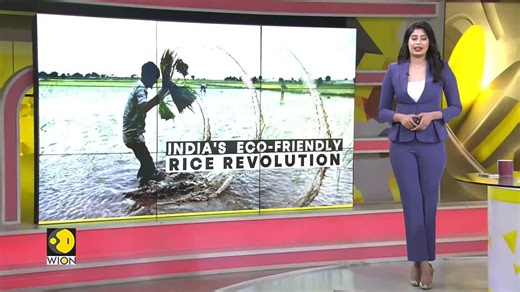 Sustainable rice for a changing climate