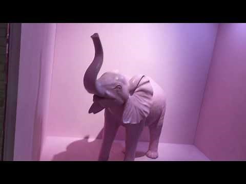 Selfie Factory - Virtual Tour