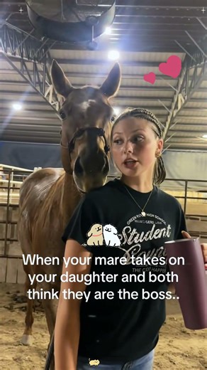 The horse runs the social scene on the ranch 🐎😎 #horse #gentle #love #cute