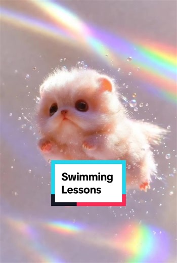 #creatorsearchinsights #catsoftiktok #kitten #kittensoftiktok #fyp