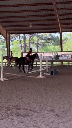 dont look at his saddle we fixed it! #fypシ゚viral #fup #fypシ #viral