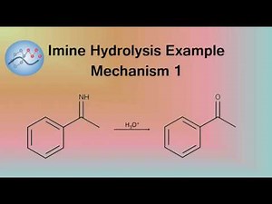 Imine Hydrolysis Example Mechanism 1 | Organic Chemistry