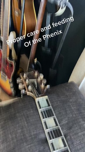 Proper Care and Feeding of the Phenix