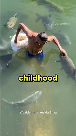 Fish Rush to Meet Their Human Friend 😍🐠