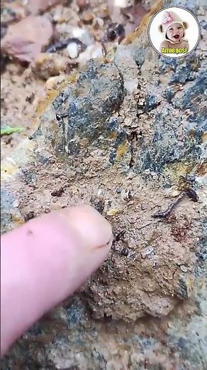 Seeing a yellow color on the ground, after picking it up, it turned out to be pure gold.