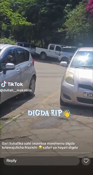 Remembering Digda: A Heartfelt Tribute