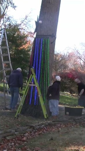 Megatree Setup Day #megatree #xlights