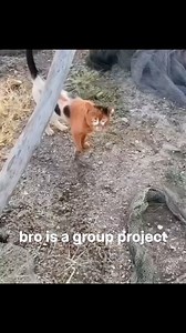 27K views · 166 reactions | ㅤReal Follow for more  ㅤ Everything...