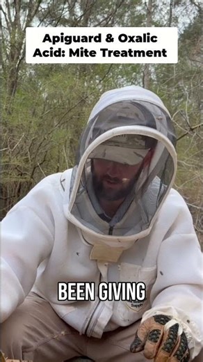Bee Mite Treatment Secrets Revealed! Apiguard Explained! #shorts