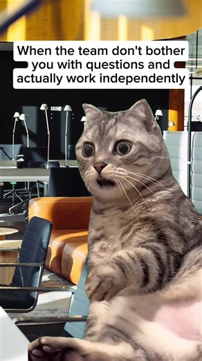 Effective Tips for Building a Strong Team at Work