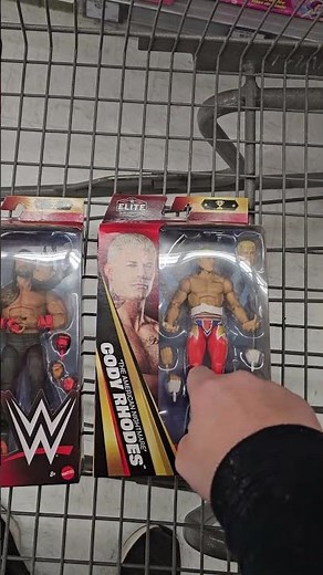 these are the two WWE action figures I Bought In Walmart #walmartwweexclusive #wwetoyhuntwalmart