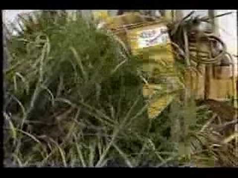 Cameco Sugar Cane Harvester