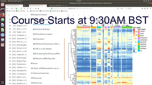 Analysis of single cell RNA-seq data 23-24 May 2019 21 - YouTube