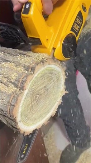 Amazing Tree Cutting Process #ChainsawWork #ForestryMachines #WoodIndustry