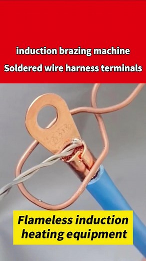 Lihua induction heater trên TikTok