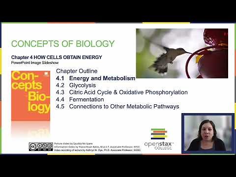 OpenStax Concepts of Biology Chapter 4.1 Part 1