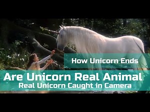 Real Unicorns Caught in Camera - How Unicorn End from World #unicorn