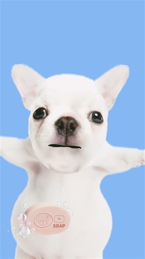 I did another but dif sound 😆