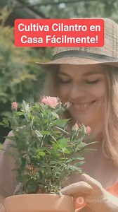 Cultiva Cilantro en Casa Fácilmente! | jardinería para principiantes