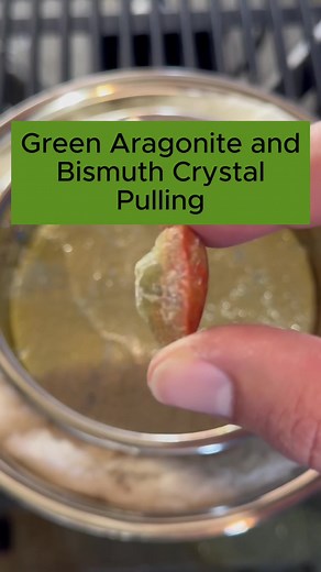 bismuth123 on TikTok