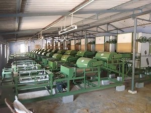 coir rope making process and machines in factory || coconut husk to coir rope.whatsapp:8830373568