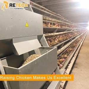 [Hot Item] Layer Poultry Equipment Manure Scraper Chicken Manure Removal Machine