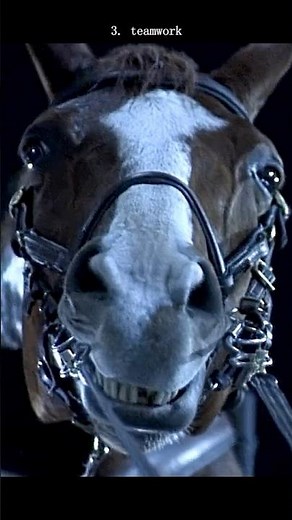 #movie Horse vs. Motorcycle – The Craziest Chase in Action Movie History | True Lies