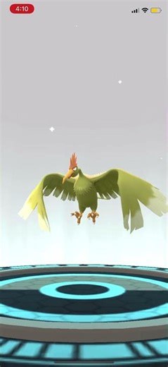 Pokémon Go Evolving Shiny Spearow!