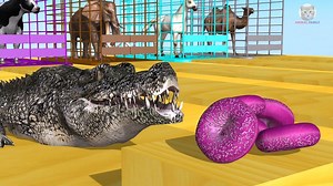 Animals Eat Food Bagels Colorful - Learning video Educational for Kids | Colors For Kids