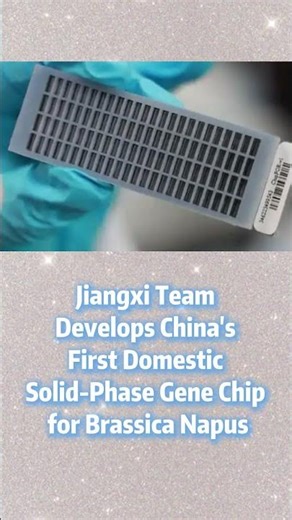 📍Jiangxi Team Develops China’s First Domestic Solid-Phase Gene Chip for Brassica Napus