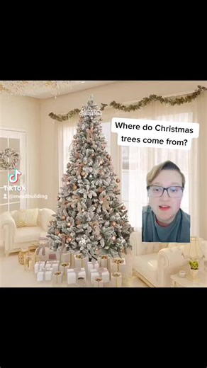 Mead Museum (@meadbuilding)’s videos with original sound - Mead Museum