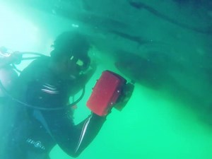 17 reactions | Pro Shine Dubai with a great Hull Cleaner demo! | Nemo Power Tools | Facebook