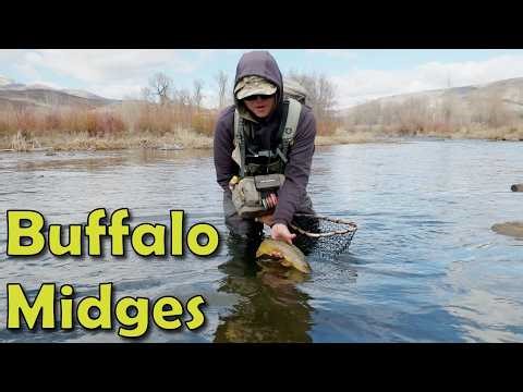 Middle Provo Midge Time?!?!?!