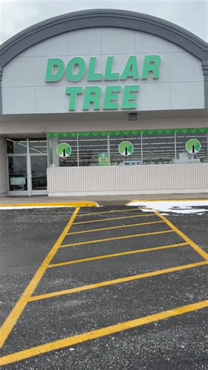 Living the Dollar Tree Life: Must-Have Finds