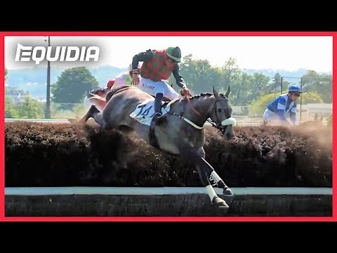 LES + GROS OBSTACLES D'AUTEUIL DÉCRYPTÉS ! | Grand Steeple Chase de Paris