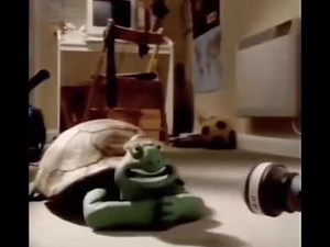 turtle talking interview meme