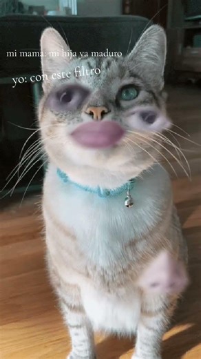 27 de febrero de 2026