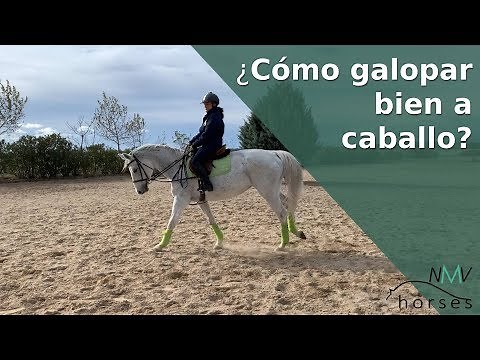 🐴Montar a caballo: galopar correctamente con mi caballo🐴Aprender a montar a caballo paso a paso🐴
