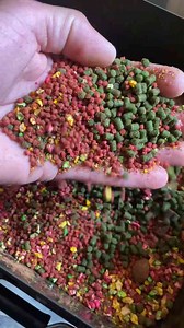 Ultimate fishing compilation for anglers