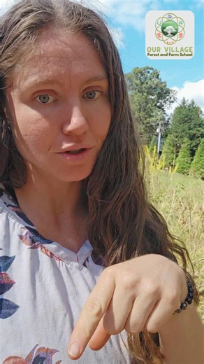 🌿 Why We Learn with Nature 🌿 At Our Village Forest and Farm School, every day outdoors becomes a journey of curiosity, connection, and care. 🌾 Here, learning happens through: 🌱 Hands-on experiences — children touch, see, and explore the world around them. 🍃 Discovery and observation — each leaf, insect, and sound becomes a teacher. 🌼 Real-world awareness — kids grow to understand how nature supports life and balance. 🐴 Confidence through connection — being with animals and caring for the 