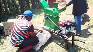 Maize cob chopping machine Best for poutry feeds Nakuru Poshomills and Machinery co.ltd | Mburu Poshomills Factory 0796298438