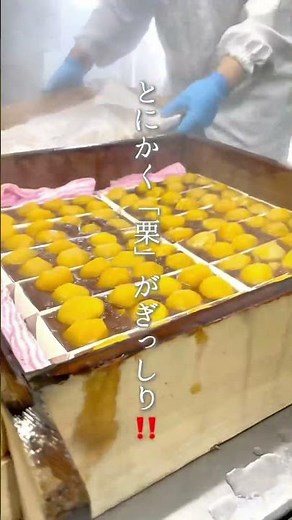 【栗が全部で13個‼️大人気の生栗蒸し羊羹】 #お菓子のたいよう #和菓子 #匝瑳市グルメ #スイーツ #dessert #千葉スイーツ #羊羹