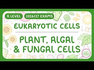 A-Level Biology - Plant, Algal & Fungal Cells - Structure & Function (2026/27 exams)